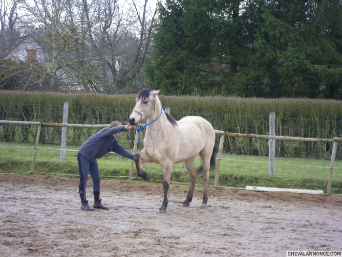 Il apprend la jambette!