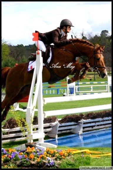 Photo Grand Prix Poney , ma preferer parmis toutes!!