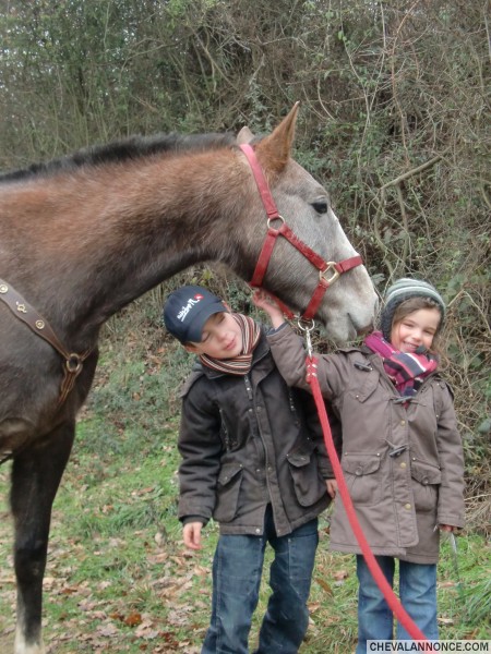 mes trois nains