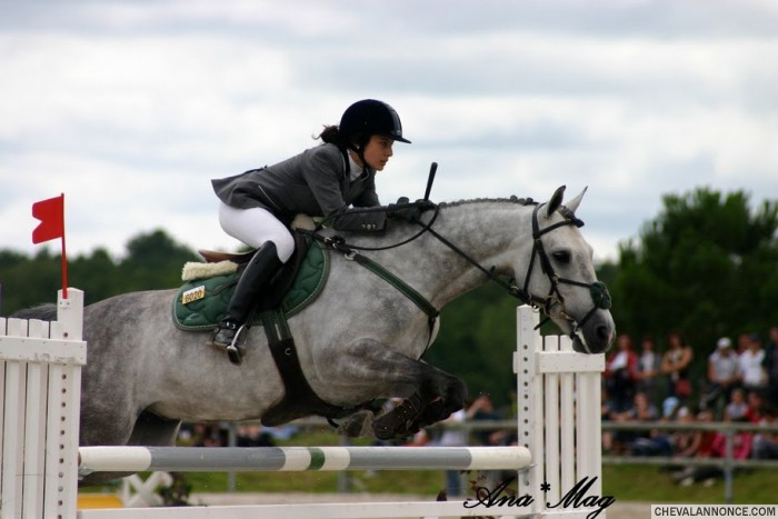 Photo Grand Prix Poney