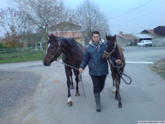 maintenan on fait des balades a trois