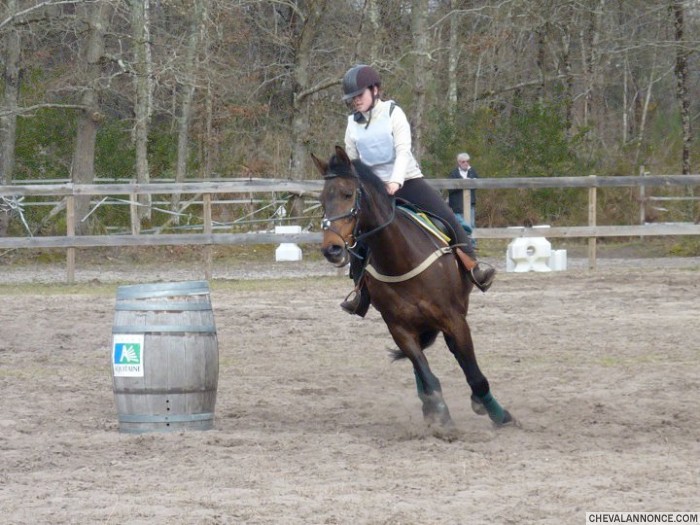 Moi et Mon cheval en Trec