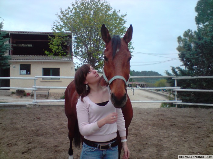 Premiere demi pension. J'ai eu la chance de tomber sur lui, Kabri.. Le cheval le plus adorable ..