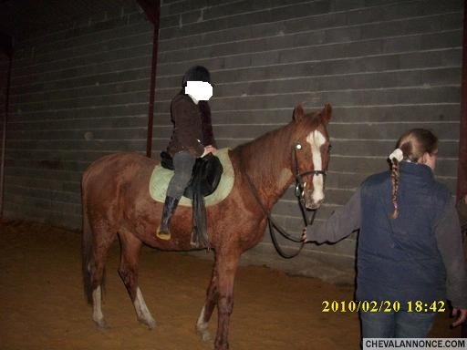 joly jump