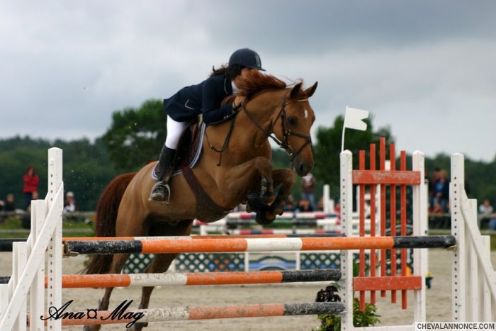 Photo Grand Prix Poney