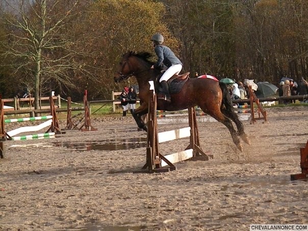 Jument aveugle de l'oeil gauche <3