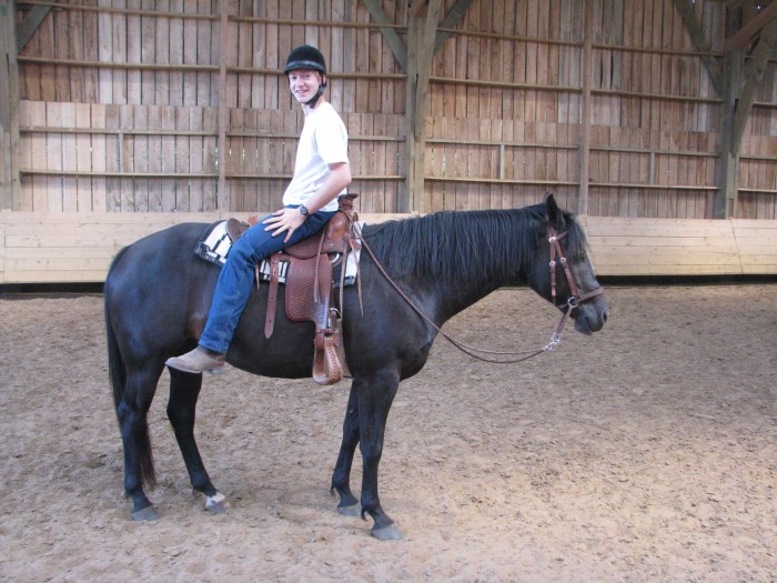 Une autre technique pour reculer un cheval