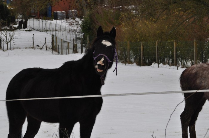 Mon petit noir qui fait le couillon ^^