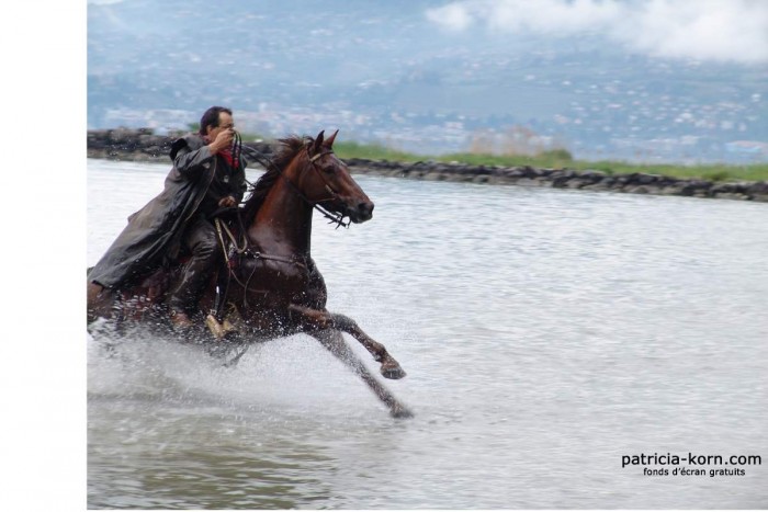 galop rhone lac lman suisse