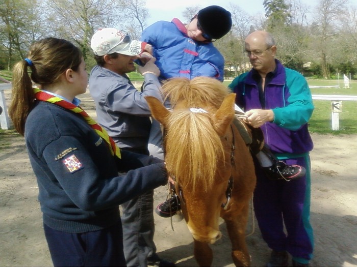 handi cheval suisa gauche que du bhonneur 