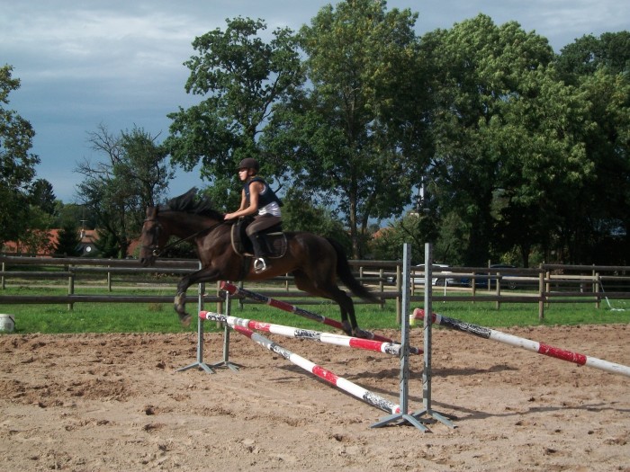 Les dbuts en CSO .