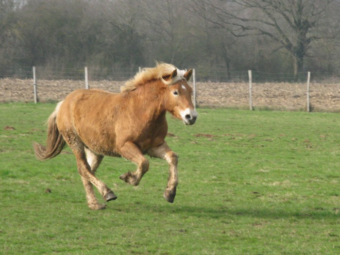 et non je ne roule pas meme si j'ai un gros bide...mars 2011