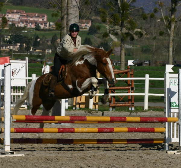 Gaucho Criollo 8 ans, saut en libert