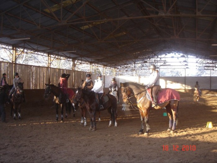 Utop cheval bai tout a droite ! :) (poney club)