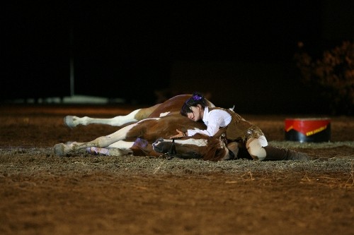 Gaucho Criollo 8 ans, Couch