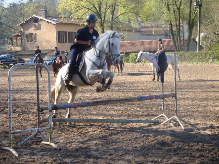 Nation de la Cte :) (poney club)