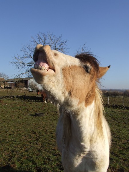 Mes ces qu'il a des belle dents ce lui la =D