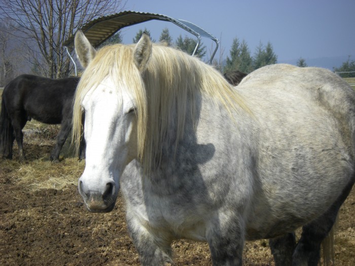 Gros plan sur ma belle et son bidon qui s'arrondit bien