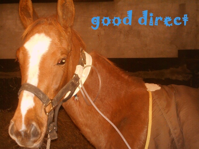 good  direct tres malades 