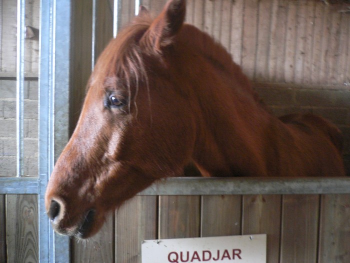 quadjar