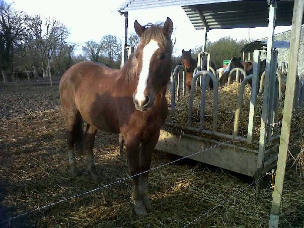 Fabrio c'est le plus beau !!