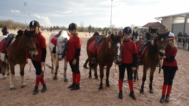 lulu et raboliotte au concour pony games