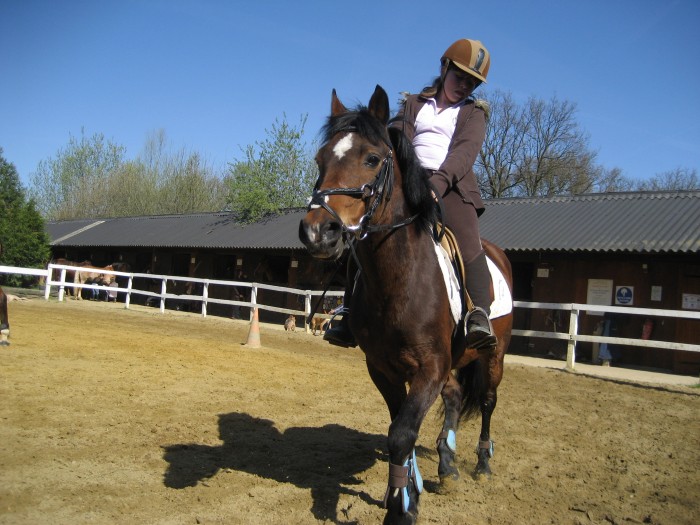 Silverlea Sue Ellen & L�na. L'amour de ma vie.