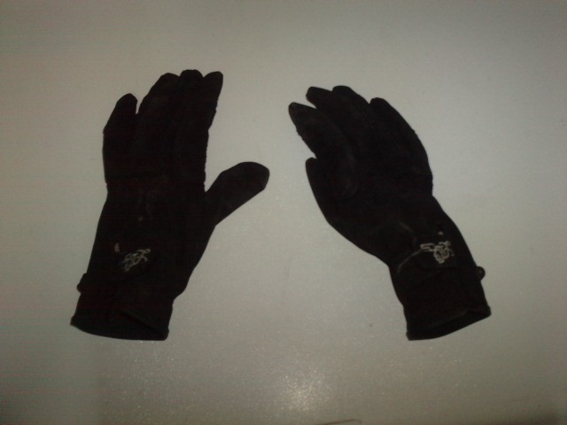 Gant