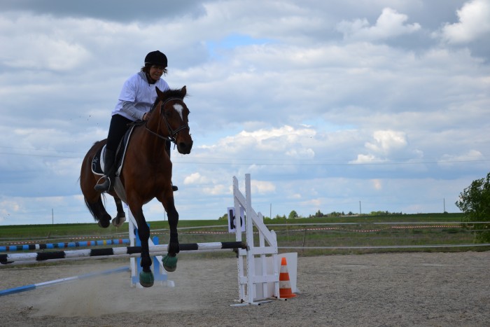 Oscar 1er en debutant en CSO (60-90 cm)