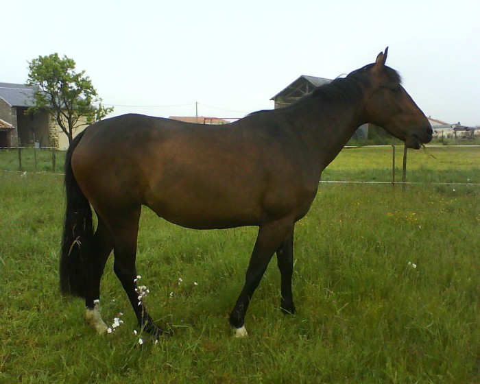 le temps est passer et le ventre c est arrondi 