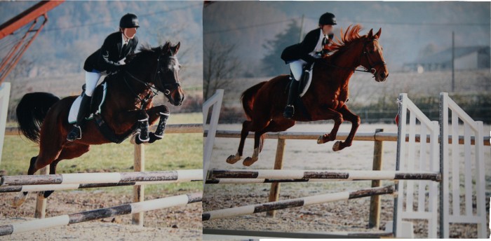 comparaison de mon poney et un jument de club sur la mme obstacle, challenge club, club 2