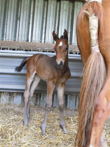 le jour de sa naissance