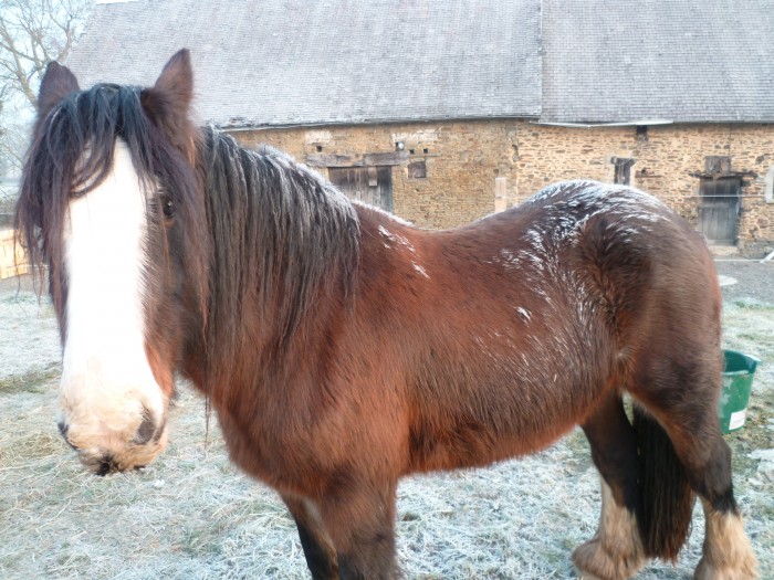 Normandie en hiver...