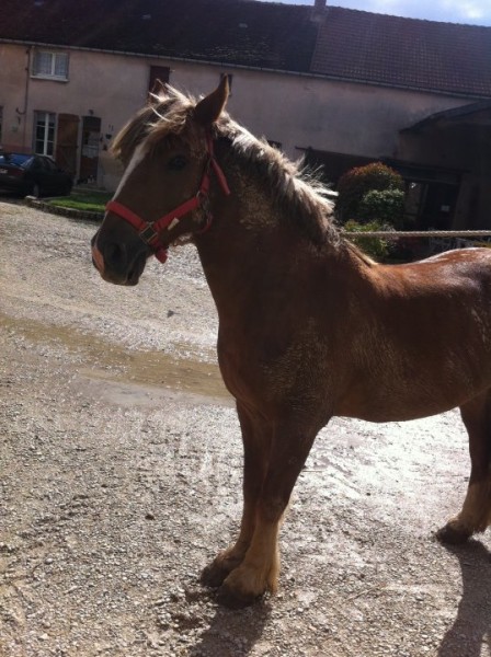 le retour du pres en bon etat 