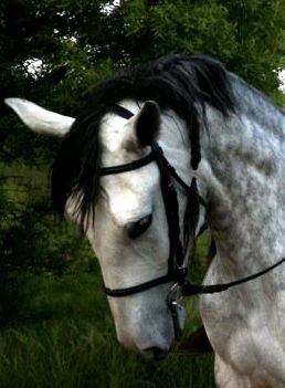 Je l'aime telement :D