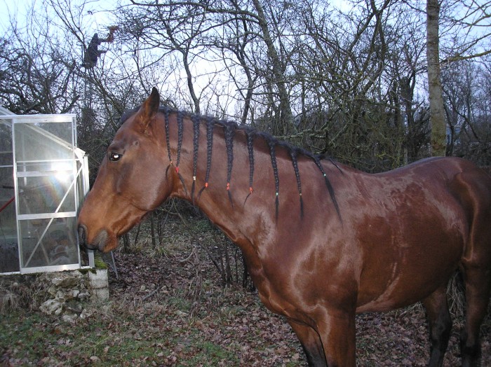 marent et gentil