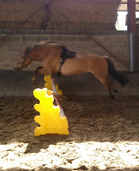 saut en libert�