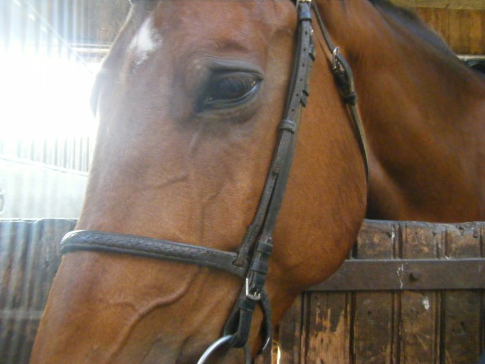 Kroco