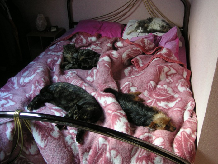 Plus de place pour les humains......!!