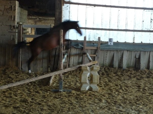 debut de saut en libert� 