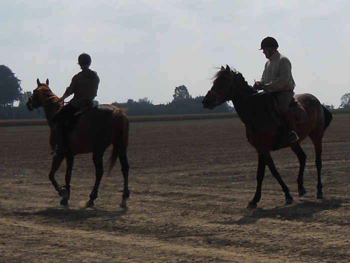 Hippodrome personnel!! les champs de lin!