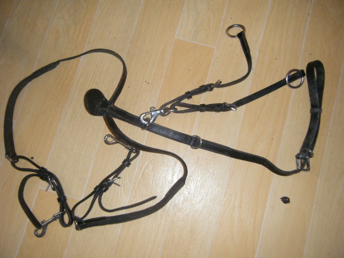 martingale �tat moyen taille cob 10 euros