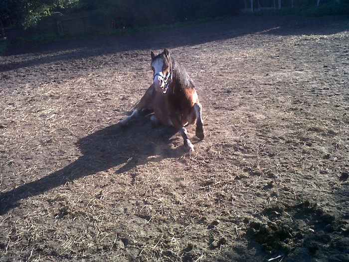 Bobo :) <3