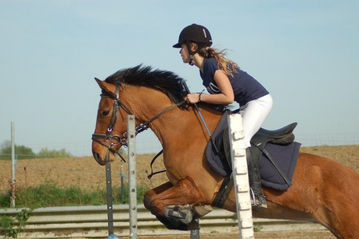 Paco de r�veillon concours 1m.