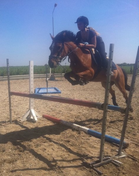 Paco de r�veillon.