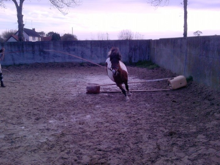 ma ponette ShRRie en cour!!