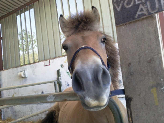 La bonne bouille ! 