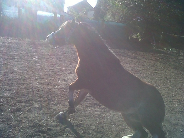 Bowy :) <3