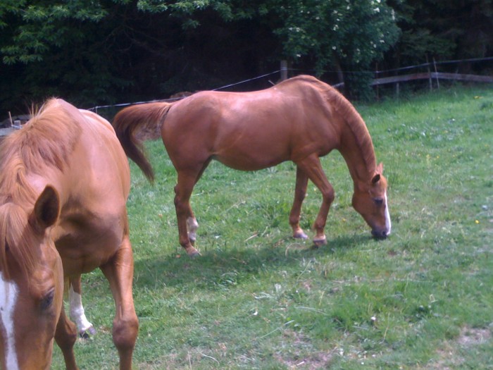 Leur maman Utha IV HN 25ans mais encore la mga pche!!!