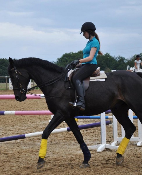 Cheval exceptionnel mont pendant les vacances